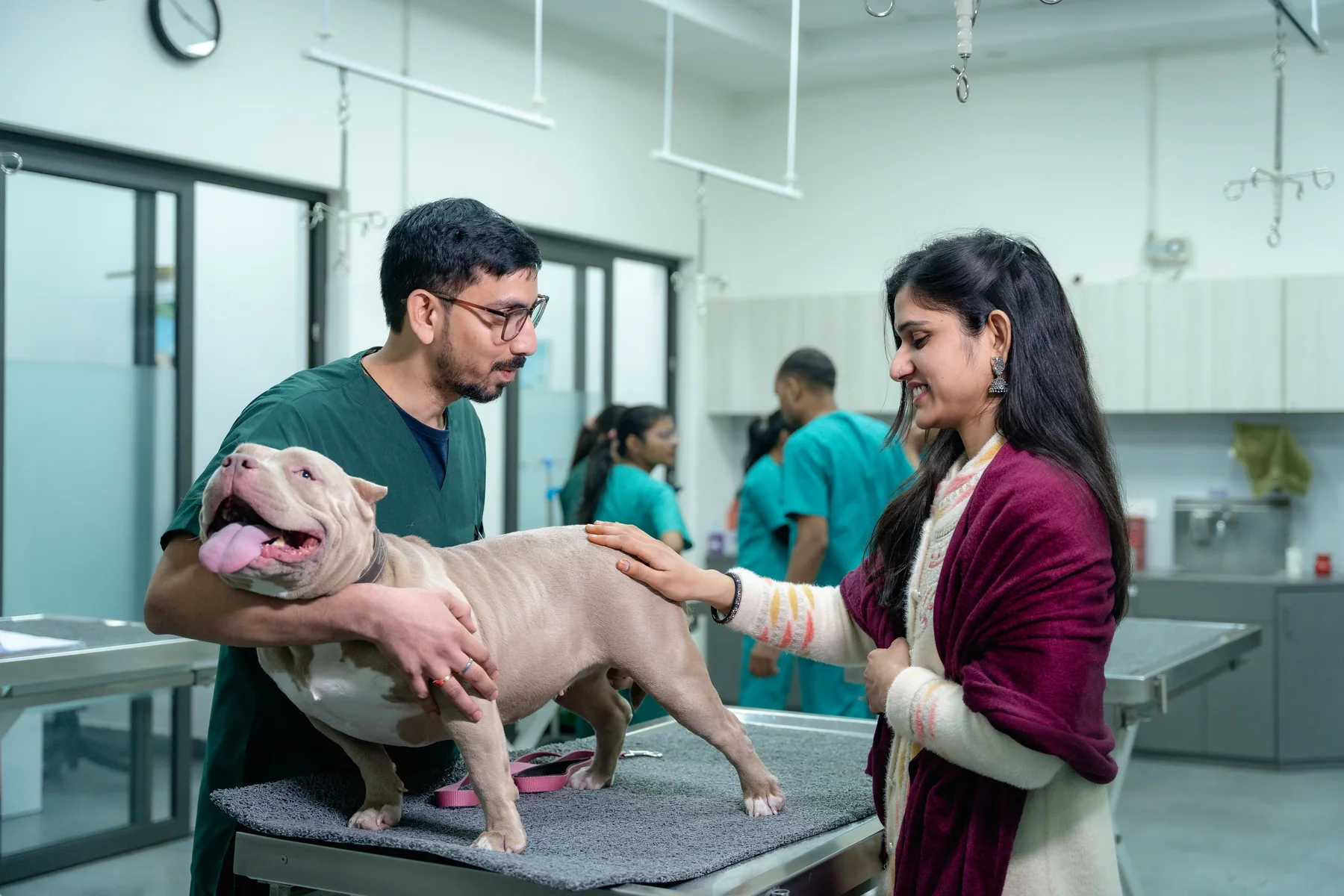 Veterinario atendiendo a un perro junto a su tutora