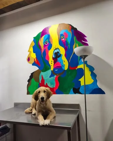 Amira sobre la mesa de atención de Santa Teresita