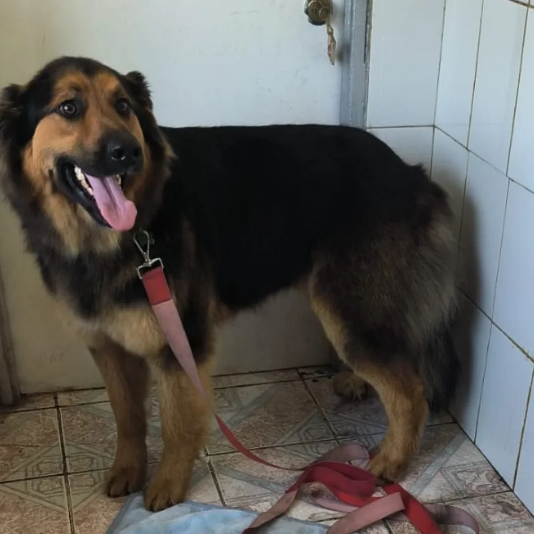 Kai después de su peluquería en Santa Teresita