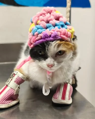 Señorita Bombón con gorrito durante una visita