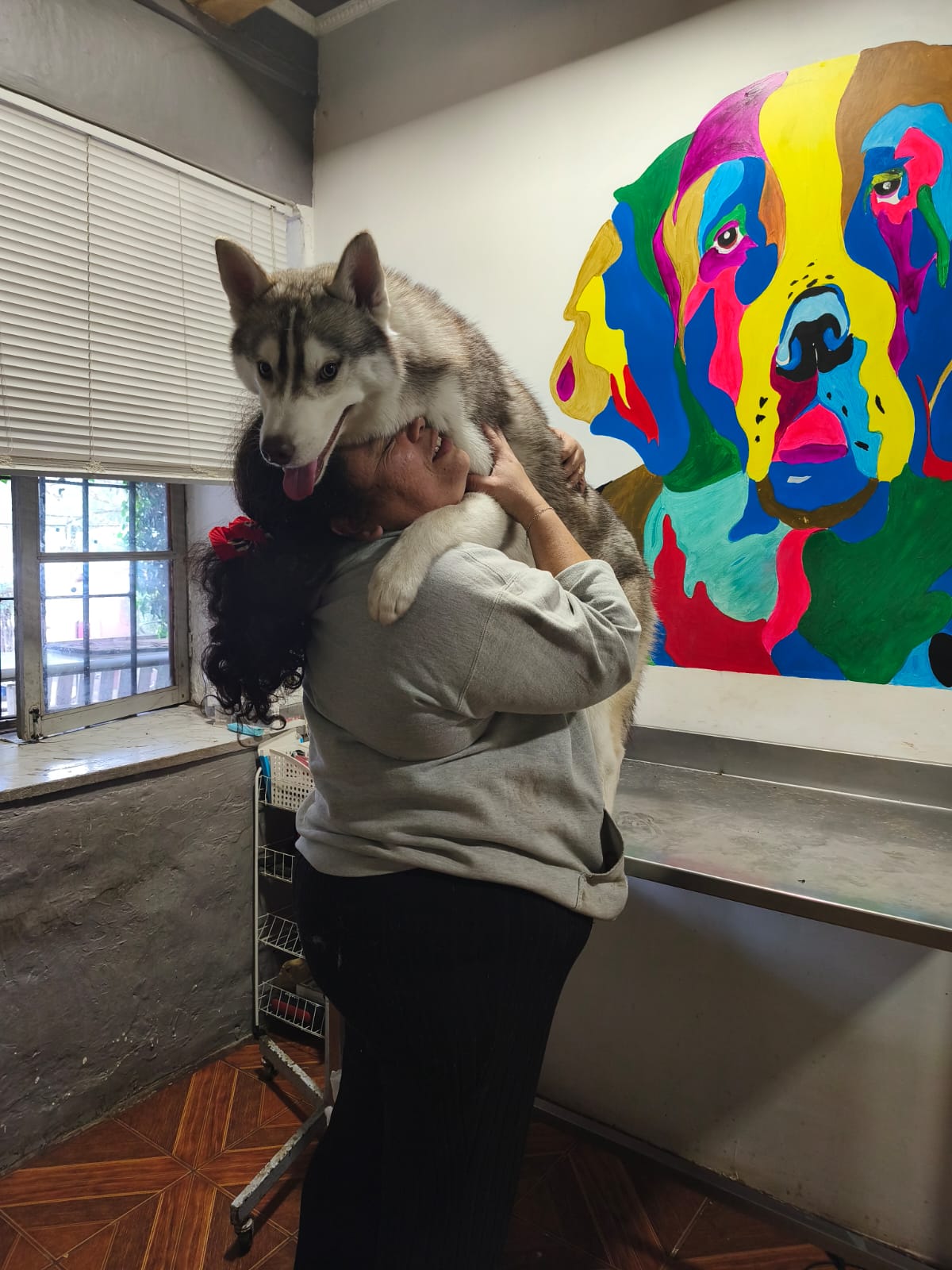 Husky acompañado junto al mural de la clínica