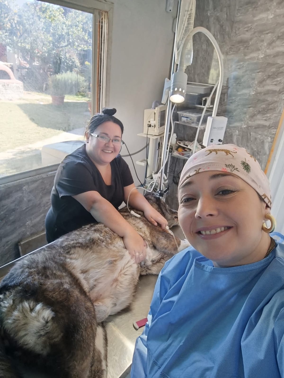 Perro acompañado por el equipo en la clínica