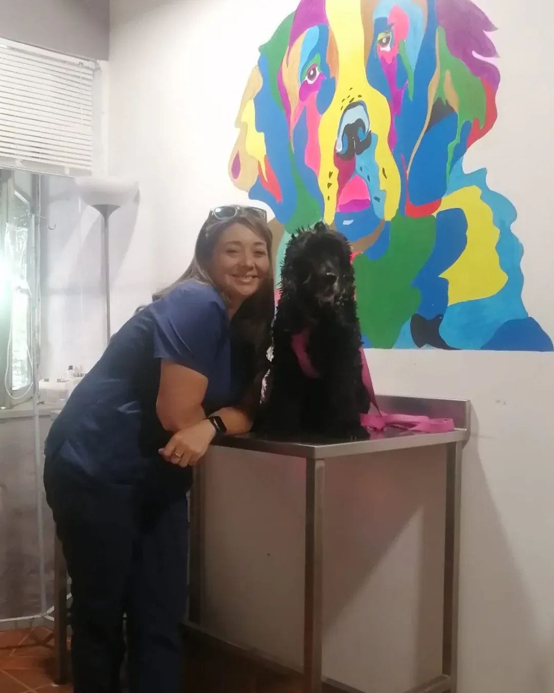 Perro de pelaje oscuro acompañado en la clínica